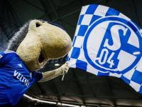 开云体育入口-柏林赫塔主场击败对手，继续追赶领头羊的简单介绍