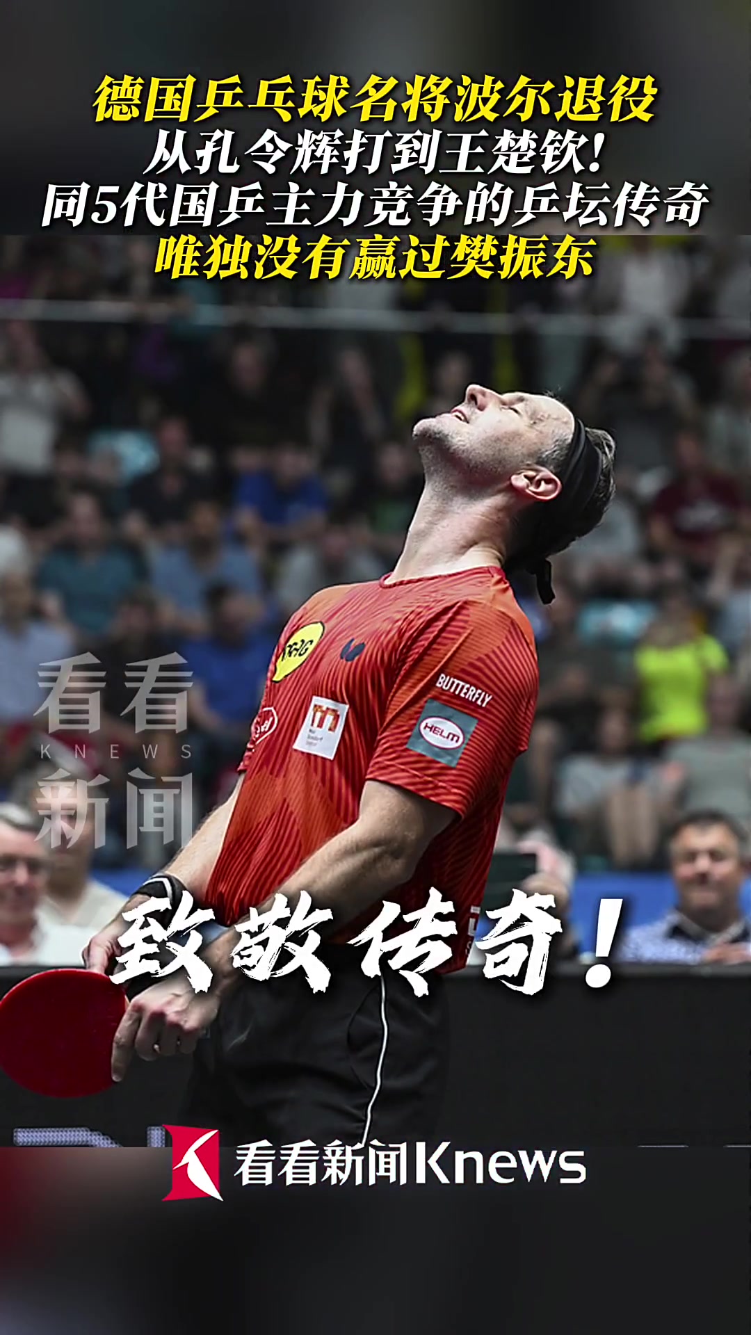 德国乒乓球队鏖战日本乒乓球队,波尔统治全场的简单介绍 德国乒乓球队鏖战日本乒乓球队,波尔统治全场的简单介绍